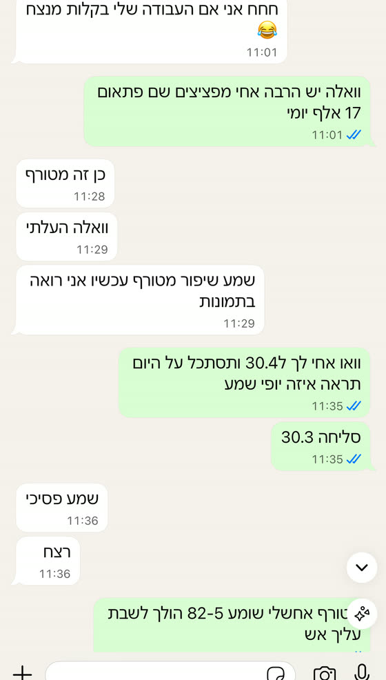 צילום מסך מהליווי — שיפור ניכר